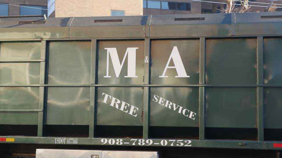 M & A Tree Service