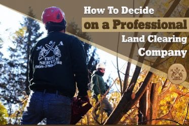 Looking For A Professional Branchburg NJ Land Clearing Company? This is How to Make Your Decision