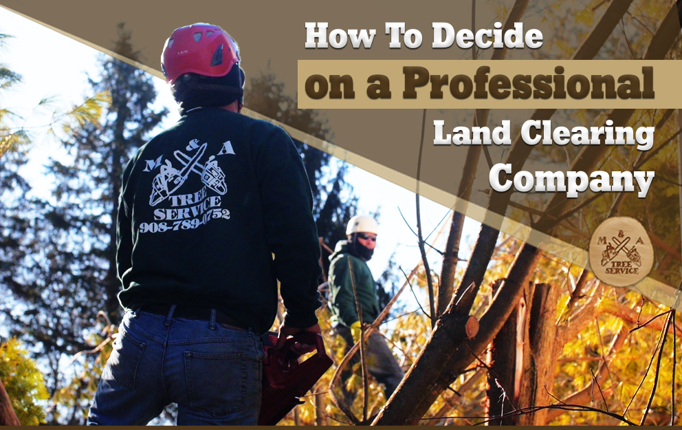 Looking For A Professional Branchburg NJ Land Clearing Company? This is How to Make Your Decision