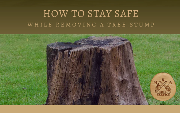 How to Stay Safe During a Franklin Township NJ Stump Removal