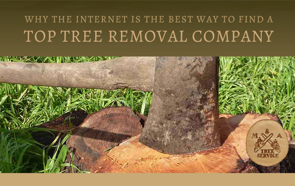 Why the Internet Is an Excellent Platform When Looking for a Flemington NJ Tree Removal Company