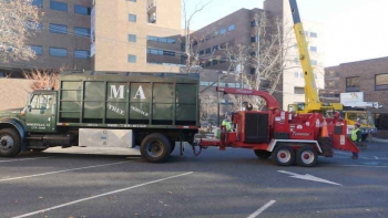 M & A Tree Service