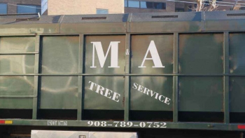 M & A Tree Service