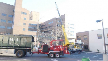 M & A Tree Service