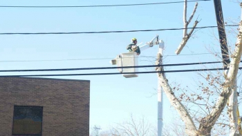 M & A Tree Service