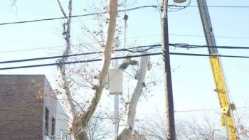 M & A Tree Service