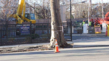 M & A Tree Service