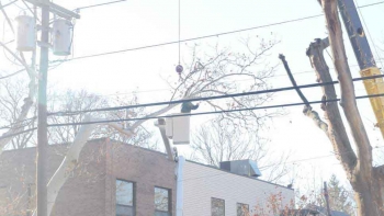 M & A Tree Service