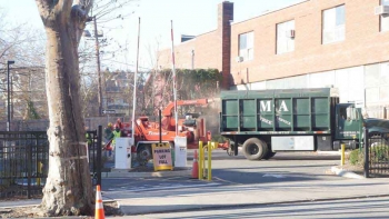 M & A Tree Service