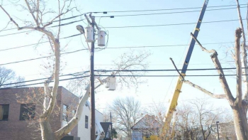M & A Tree Service