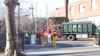 M & A Tree Service