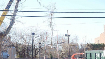 M & A Tree Service