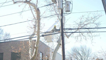 M & A Tree Service