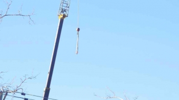 M & A Tree Service