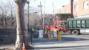 M & A Tree Service
