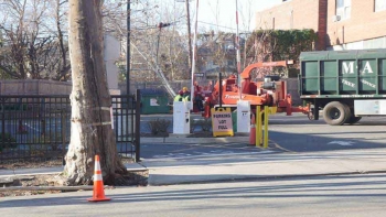 M & A Tree Service