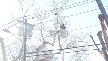 M & A Tree Service