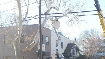 M & A Tree Service