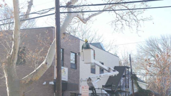 M & A Tree Service