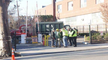 M & A Tree Service
