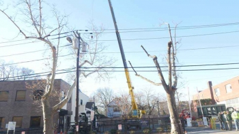 M & A Tree Service