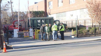 M & A Tree Service