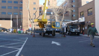 M & A Tree Service