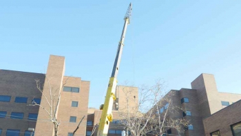 M & A Tree Service