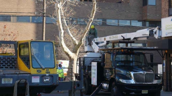 M & A Tree Service